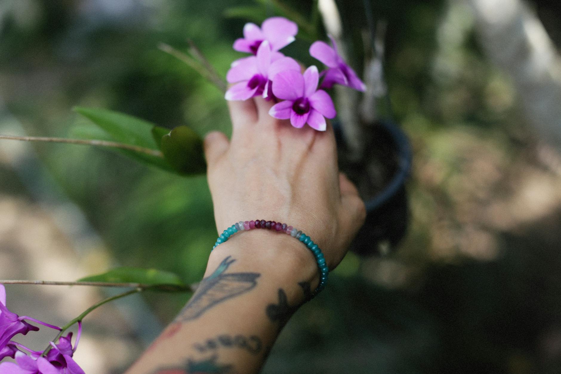 The Enchanting Beauty of Jersey’s Orchid Fields: Le Noir Pré and Clos de Seigneur